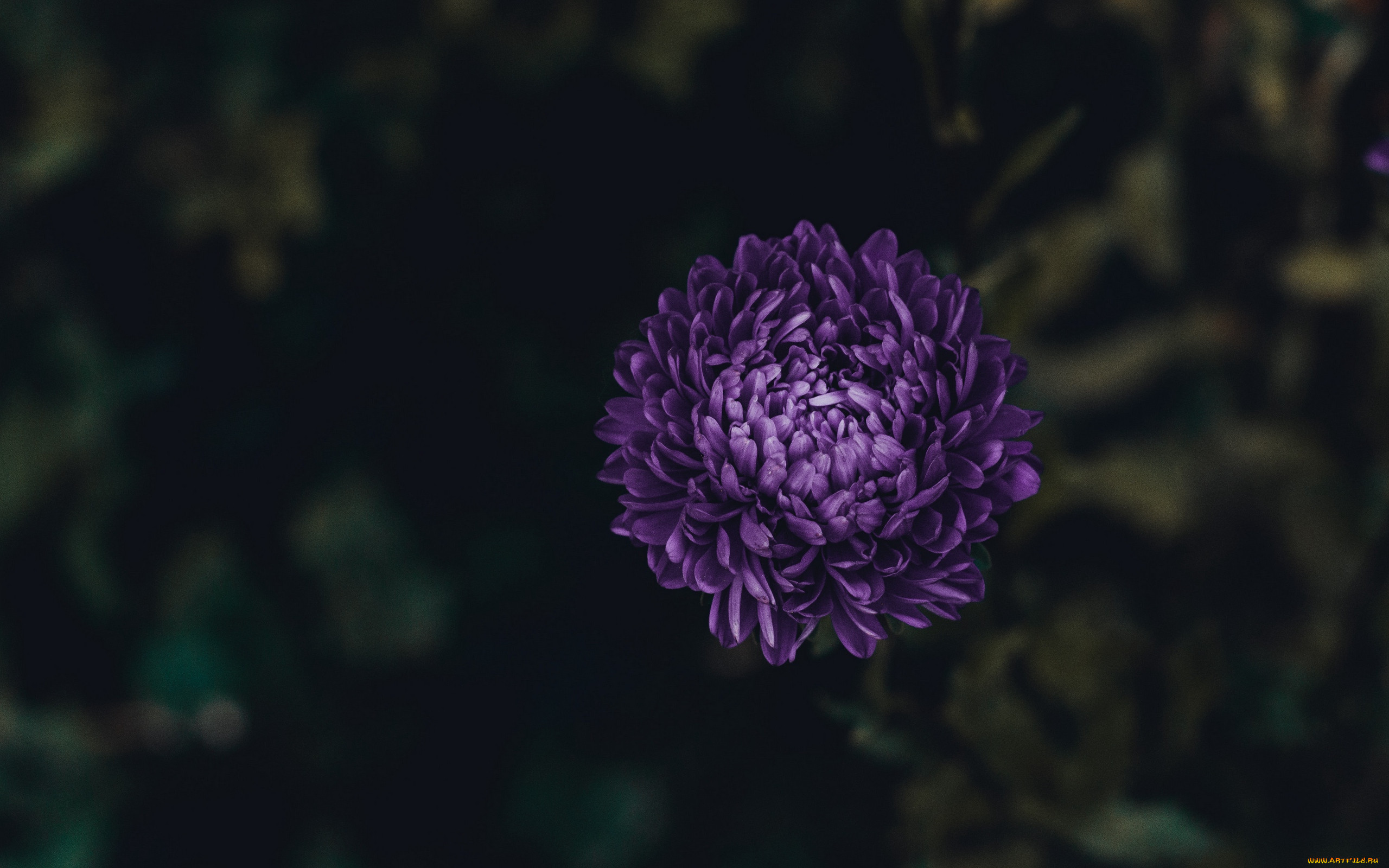 , , 